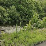 Moobike Triker Electric Tricycle