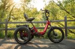 Moobike Triker Electric Tricycle - Image 6